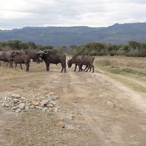 2021-11-04 17.07.57-2