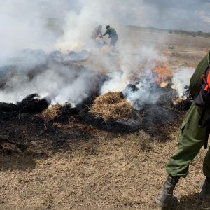 2021-11-12 03.57.33-1